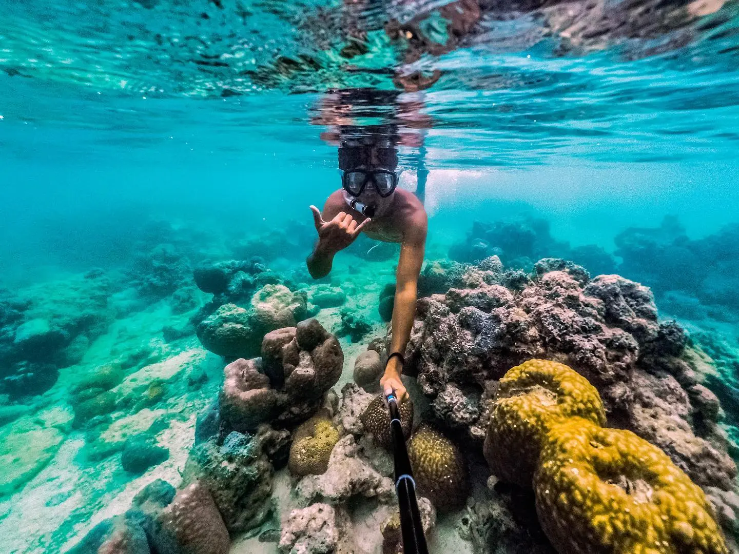 Snorkeler above a healthy coral reef in Siargao, Philippines — tropical reef fish and hard coral in clear water